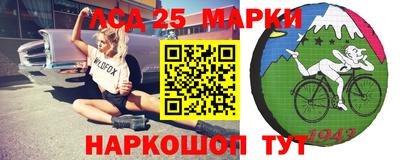 спайс Гатчина