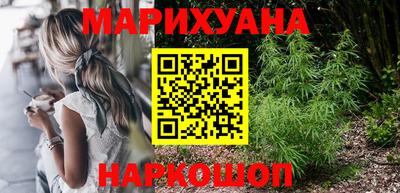 крисы Гай