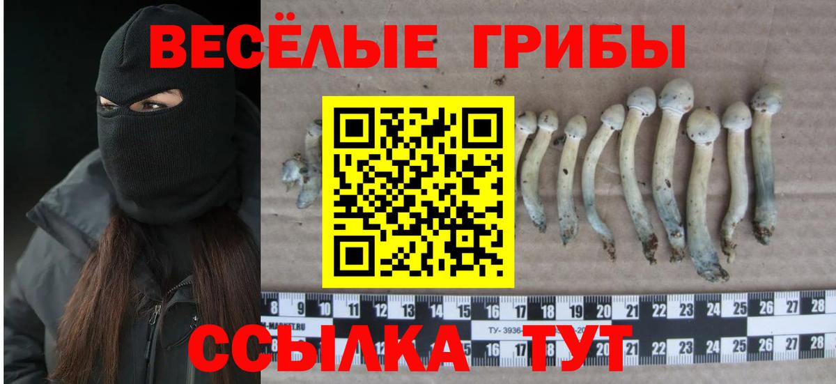Псилоцибиновые грибы мицелий  Вход с VPN  Балахна 